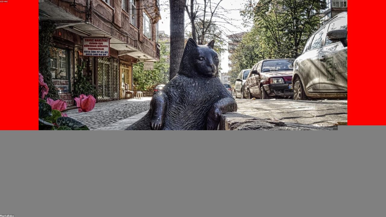 mk体育 APP 赛程与阵容界面示意